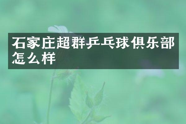 石家庄超群乒乓球俱乐部怎么样