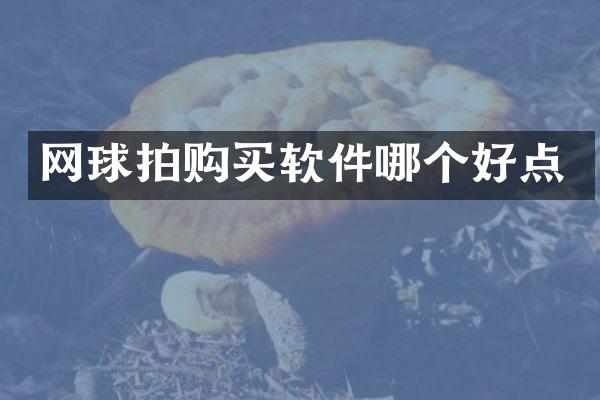 网球拍购买软件哪个好点