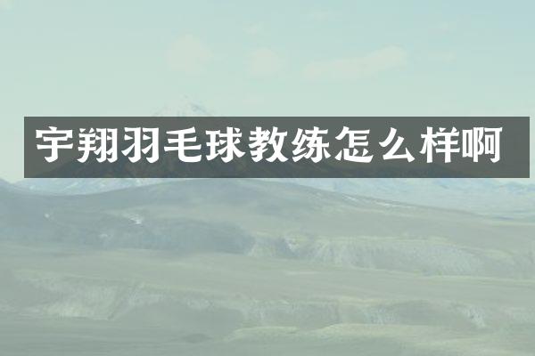 宇翔羽毛球教练怎么样啊