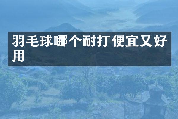 羽毛球哪个耐打便宜又好用