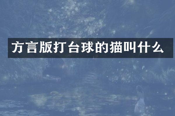 方言版打台球的猫叫什么