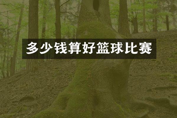 多少钱算好篮球比赛