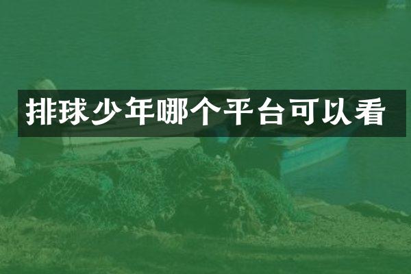排球少年哪个平台可以看