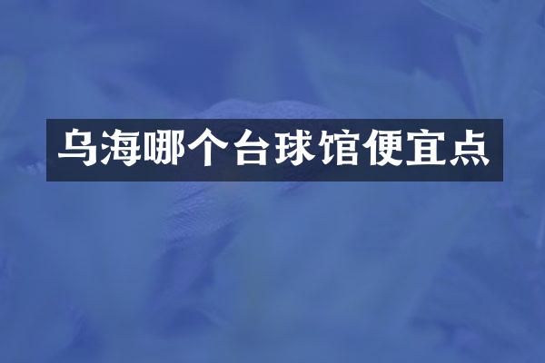 乌海哪个台球馆便宜点