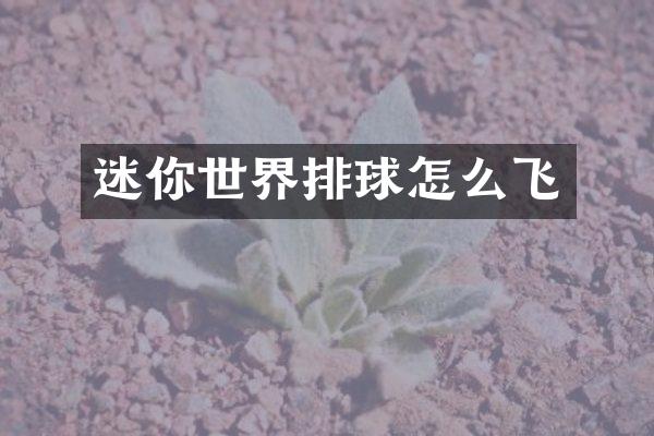 迷你世界排球怎么飞