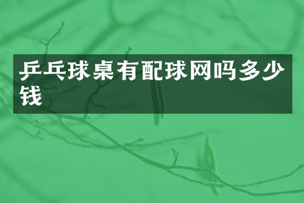 乒乓球桌有配球网吗多少钱