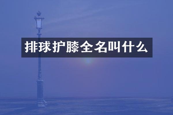 排球护膝全名叫什么