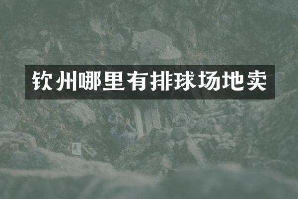 钦州哪里有排球场地卖