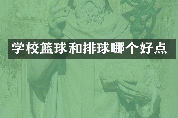 学校篮球和排球哪个好点