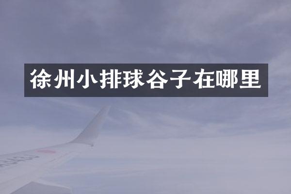 徐州小排球谷子在哪里