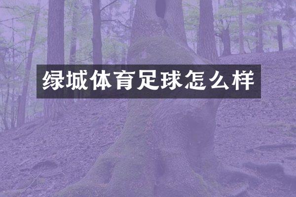 绿城体育足球怎么样