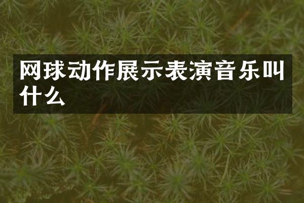 网球动作展示表演音乐叫什么