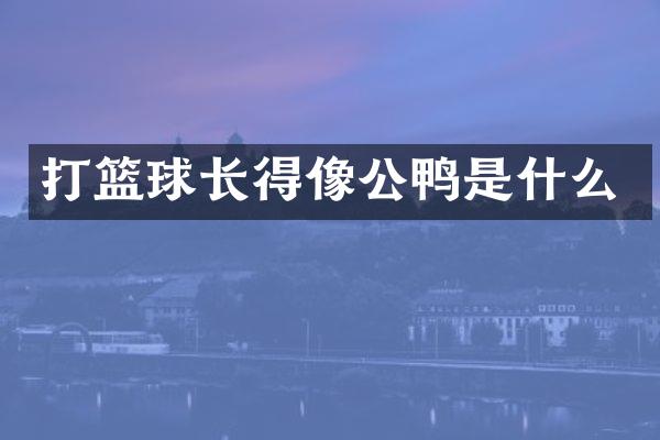 打篮球长得像公鸭是什么
