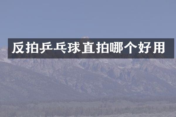 反拍乒乓球直拍哪个好用