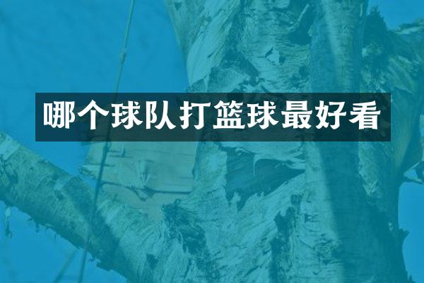 哪个球队打篮球最好看