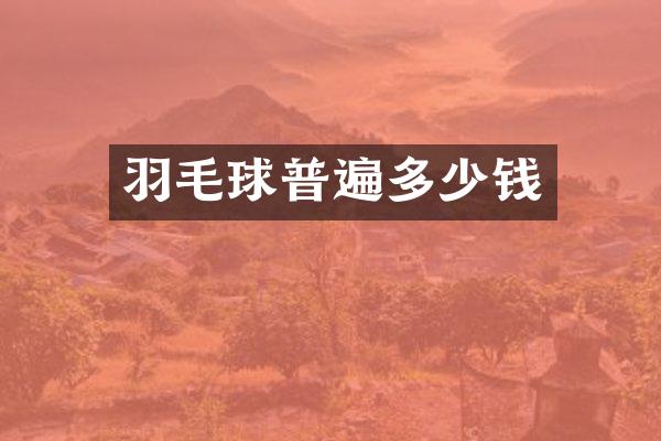 羽毛球普遍多少钱