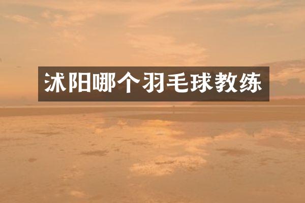 沭阳哪个羽毛球教练