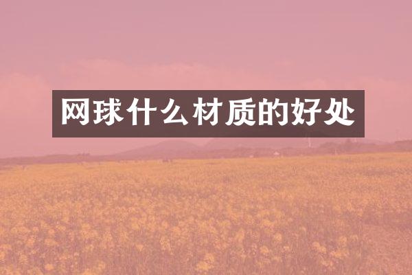 网球什么材质的好处