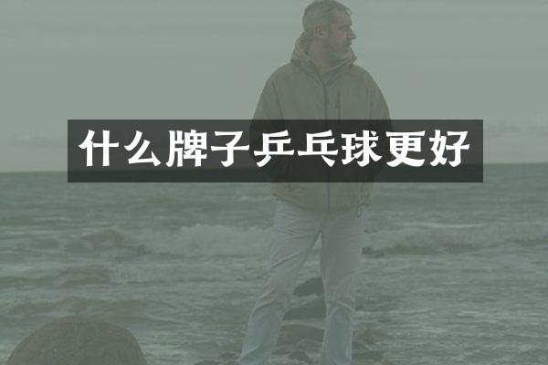 什么牌子乒乓球更好