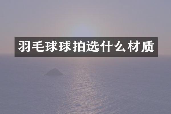 羽毛球球拍选什么材质