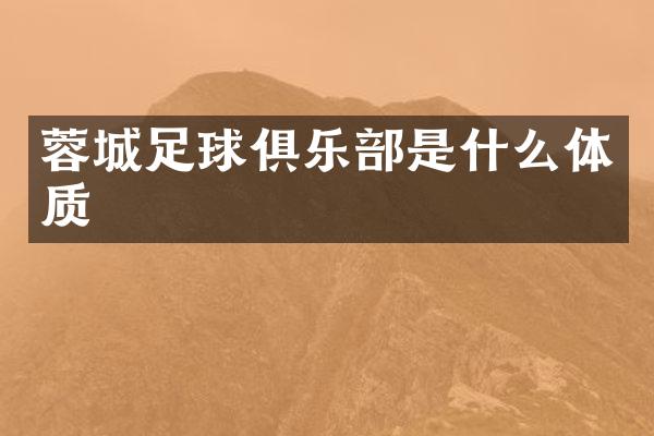 蓉城足球俱乐部是什么体质