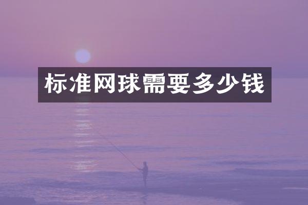 标准网球需要多少钱