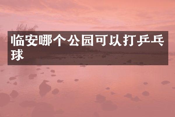临安哪个公园可以打乒乓球