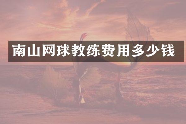 南山网球教练费用多少钱