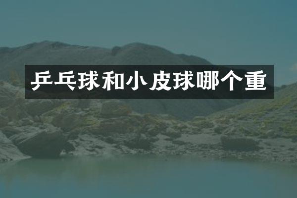 乒乓球和小皮球哪个重