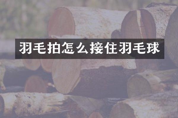 羽毛拍怎么接住羽毛球