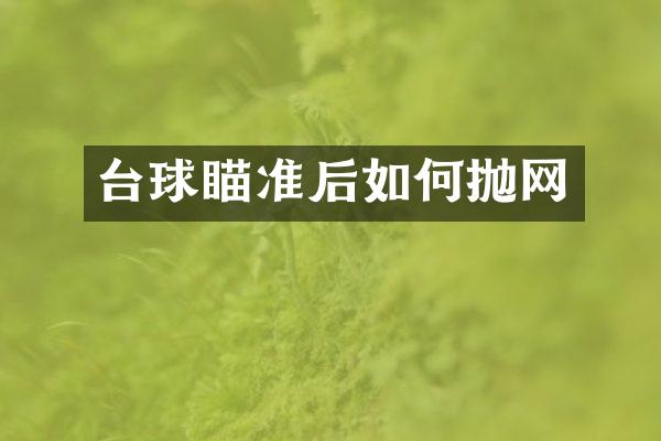 台球瞄准后如何抛网