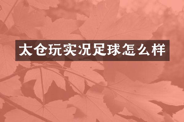 太仓玩实况足球怎么样
