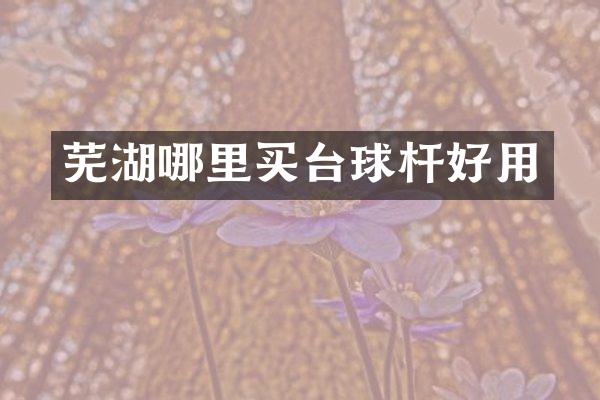 芜湖哪里买台球杆好用