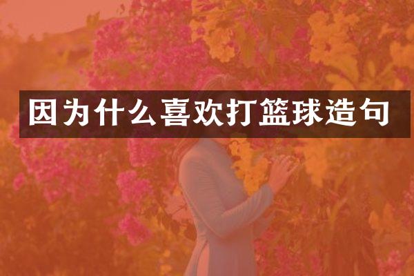 因为什么喜欢打篮球造句