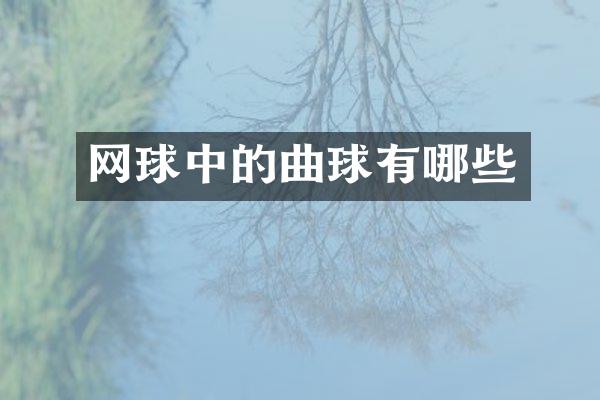 网球中的曲球有哪些