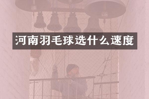 河南羽毛球选什么速度