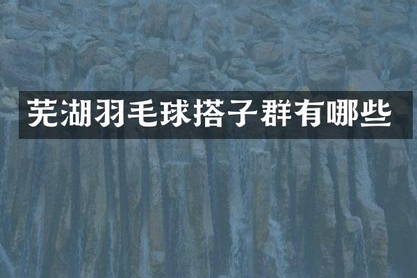 芜湖羽毛球搭子群有哪些