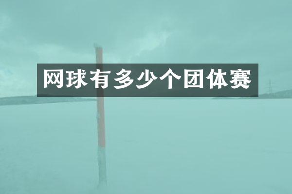 网球有多少个团体赛