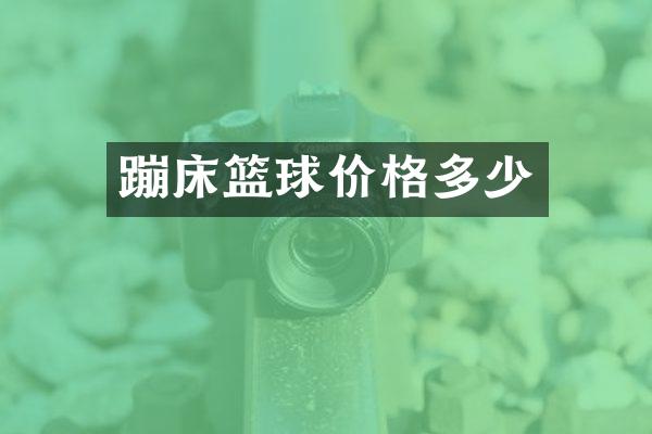 蹦床篮球价格多少