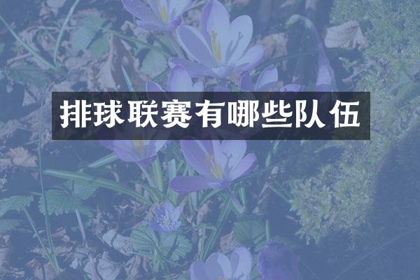 排球联赛有哪些队伍
