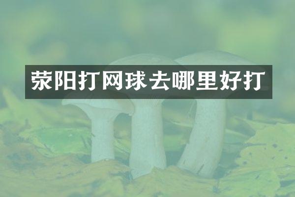 荥阳打网球去哪里好打