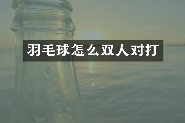 羽毛球怎么双人对打