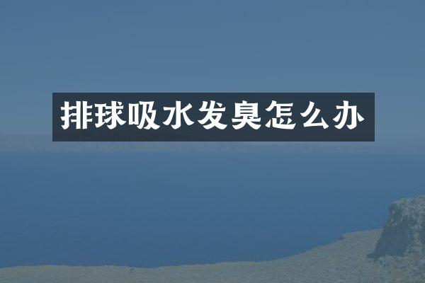 排球吸水发臭怎么办