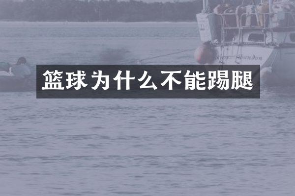 篮球为什么不能踢腿