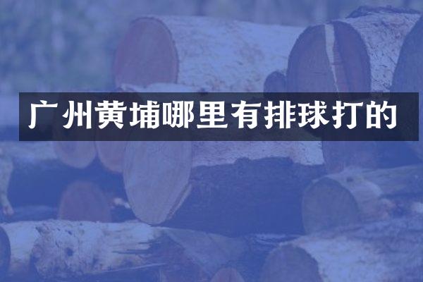 广州黄埔哪里有排球打的