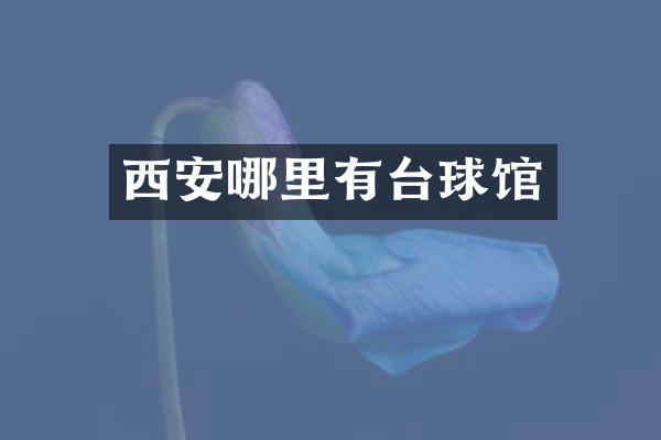 西安哪里有台球馆