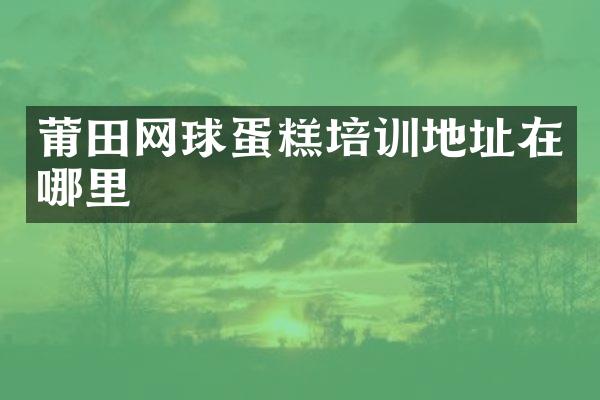 莆田网球蛋糕培训地址在哪里