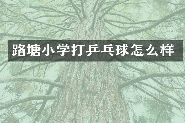 路塘小学打乒乓球怎么样