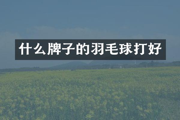 什么牌子的羽毛球打好