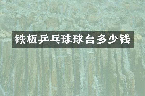 铁板乒乓球球台多少钱